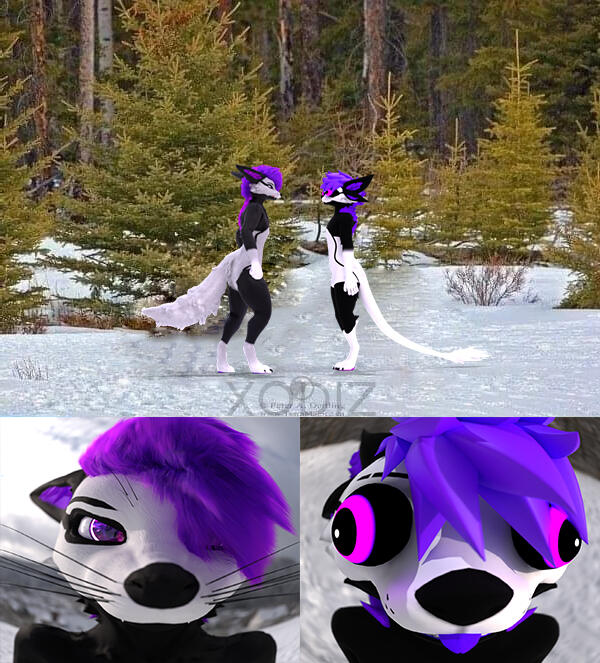 Silly recreation of the bear vs wolf staredown meme.